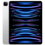 iPad Pro M2 - 11 Pouces - 1 To - 5 G
