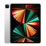 IPAD PRO 12.9" M1 (2021 / 512 GO / 4G CELLULAR)