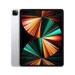 IPAD PRO 12.9" M1 (2021 / 256 GO / 4G CELLULAR)