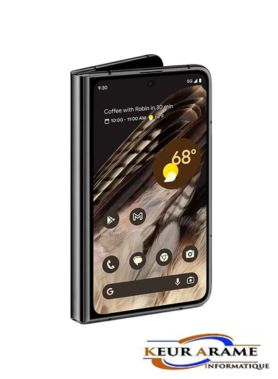 Pixel Fold 256 Go