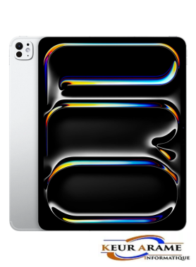 iPad PRO M4 13.9 - 2 To