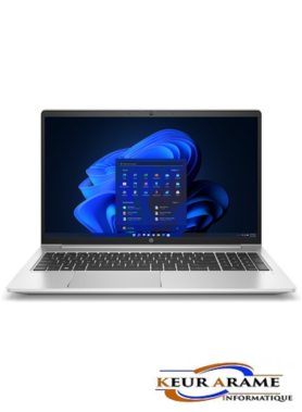 HP Probook 455 G 10 - Core Ryzen 5 - 16 Go - 512 Go - 15"