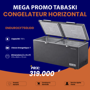 Congélateur Horizontal ENDURO 700 Litres - Arame Business Trading