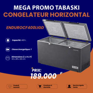 Congélateur Horizontal ENDURO 400 Litres - Arame Business Trading