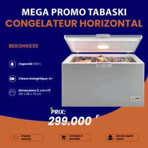 Congélateur Horizontal BEKO 600 Litres - Arame Business Trading